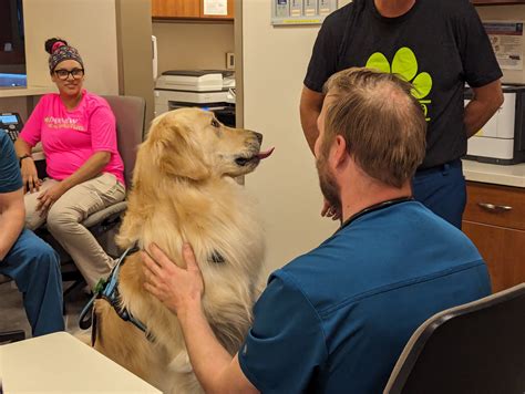 WATCH: Man’s best friend comforts patients and staff at Parkview Heart