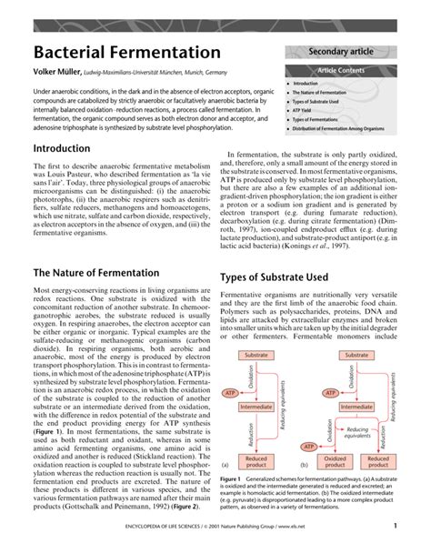 Bacterial Fermentation