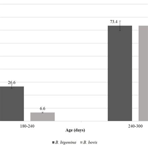 Mean Age Of B Bigemina And B Bovis Primo Infection In Calves Born On