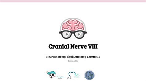 PDF Cranial Nerve VIII Neuropsychiatry 2019 11 23 8 2nd