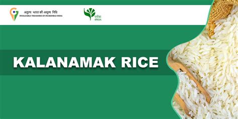 What Is Kalanamak Rice Rice Uttar Pradesh Food