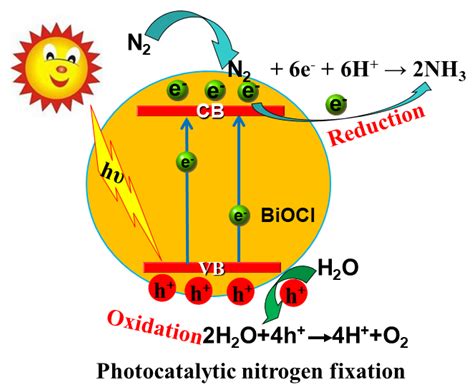 Molecules Free Full Text Applications Of BiOX In The Photocatalytic