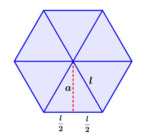 Cu Ntas Bases Tiene El Cuerpo Del Hex Gono Una Gu A Completa Webma