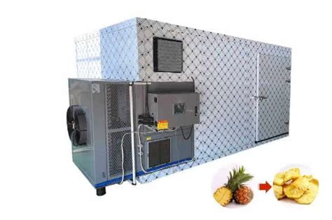 Pineapple Drying Machine Baixin