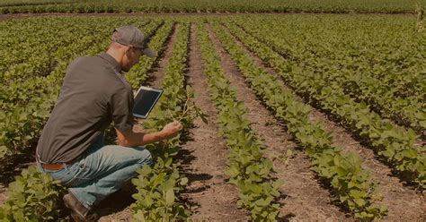 Futuro De La Agricultura En Espa A Tradecorp