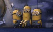 Minion Banana GIFs | Tenor