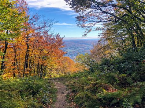 Hike Mount Greylock 4 Distinct Routes Up Mas Tallest Mountain