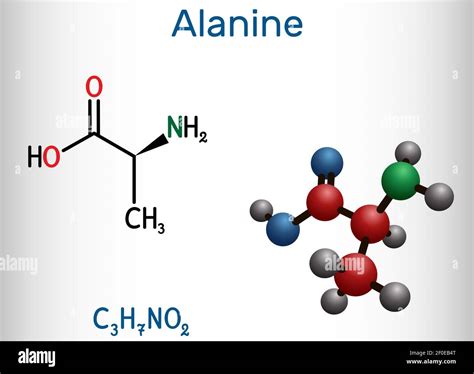 Alanine L Alanine Ala A Molecule It Is Non Essential Amino Acid Structural Chemical Formula