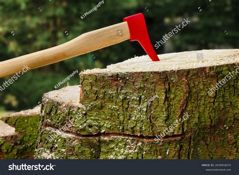 pickaroon images stock  vectors shutterstock