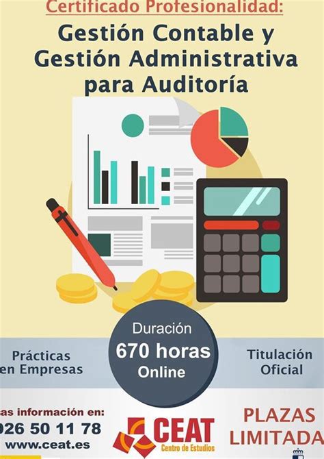 Optimizando la auditoría con un curso de gestión contable y