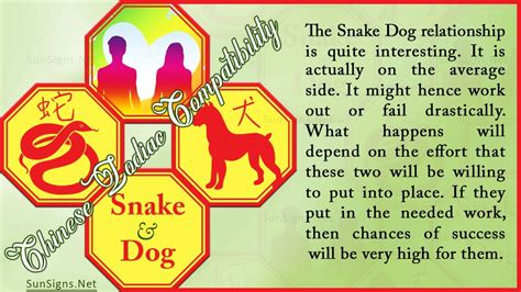 Snake Dog Compatibility: Small, Manageable Differences - SunSigns.Net