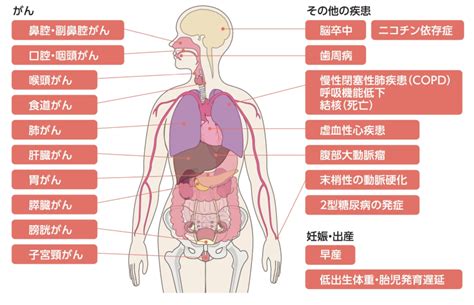 喫煙者本人の健康影響 E ヘルスネット（厚生労働省）