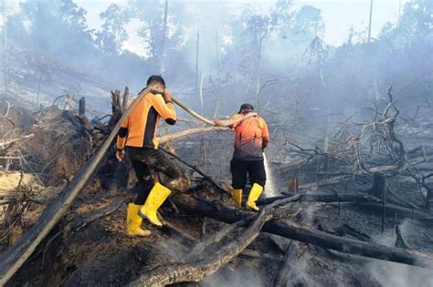 95 Titik Terdeteksi Di Wilayah Ini BMKG Balikpapan Minta Pihak Terkait