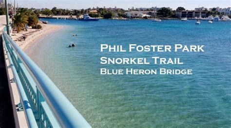 Blue Heron Bridge Snorkeling at Phil Foster Park Riviera Beach