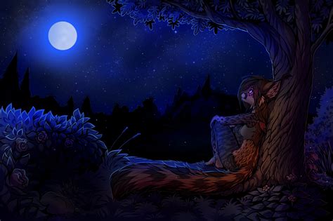 Lady Fox Digital Artwork Furry Night HD Wallpaper Wallpaper Flare