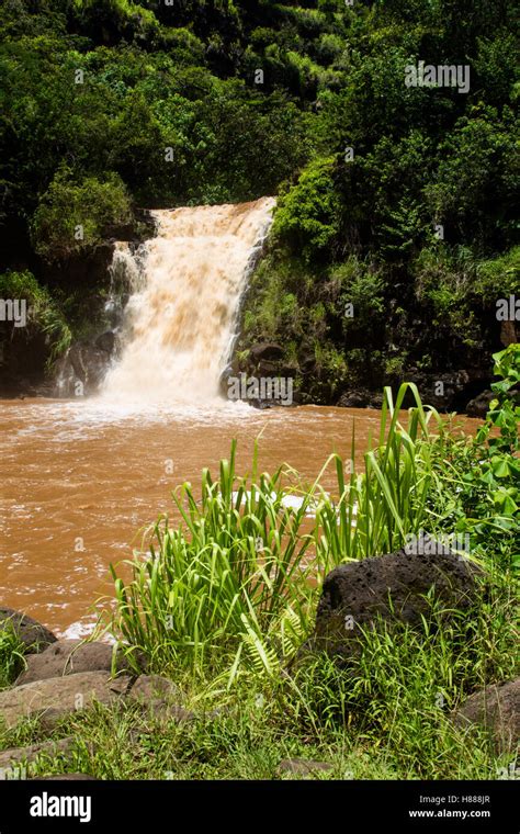 Waimea Falls After Heavy Rainfall In The Waimea Valley On Oahu Hawaii