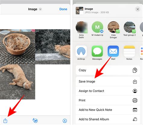4 Ways To Create Stunning Collages In Your Smartphone Gallery