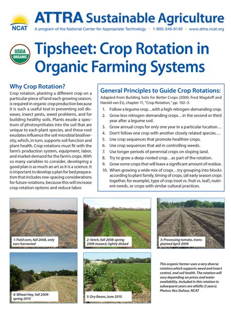 Tipsheet Crop Rotation In Organic Farming Systems Attra Sustainable Agriculture