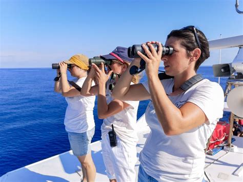 Genoa Cetacean Watching Cruise With Marine Biologist Guide