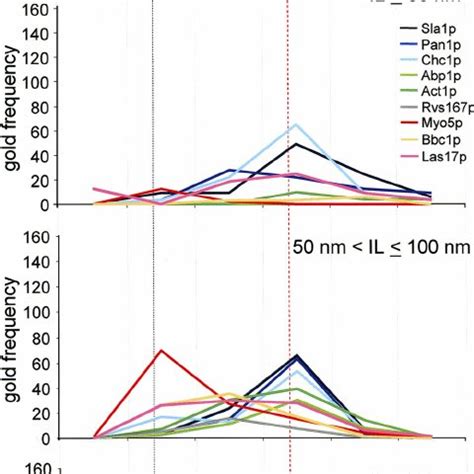 Comparative Distribution Of Endocytic Proteins Along Short