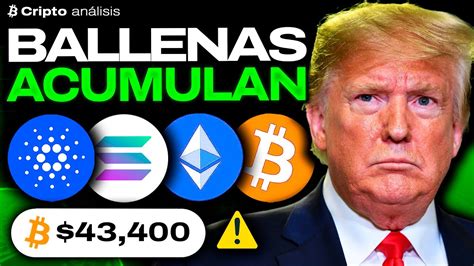 SUBIMOS O BAJAMOS Noticias Criptomonedas HOY BITCOIN