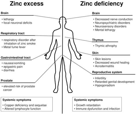 Zinc Deficiency