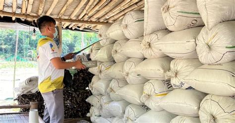 Ilocos Sur Palay Farmers Get More Cash Incentives Philippine News Agency