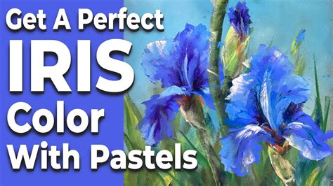 Get A Perfect Iris Color With Pastels How To Portray Flowers In A