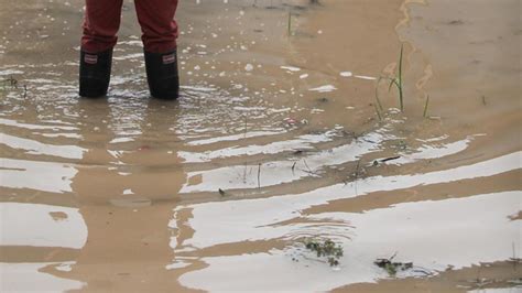 Alerta Roja Para Nueve Comunas Del Ñuble Por Crecida De Río T13