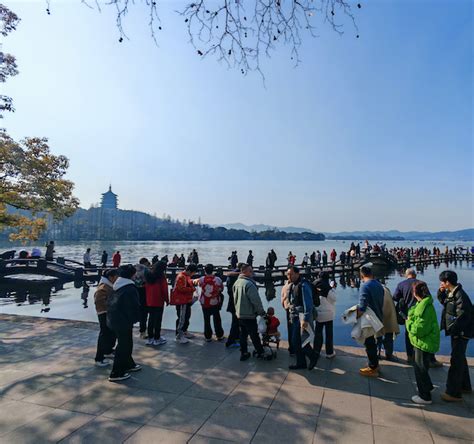 春节各地“人从众”再现：有人凌晨就在排队，有景区海鸥被喂撑 上游新闻 汇聚向上的力量