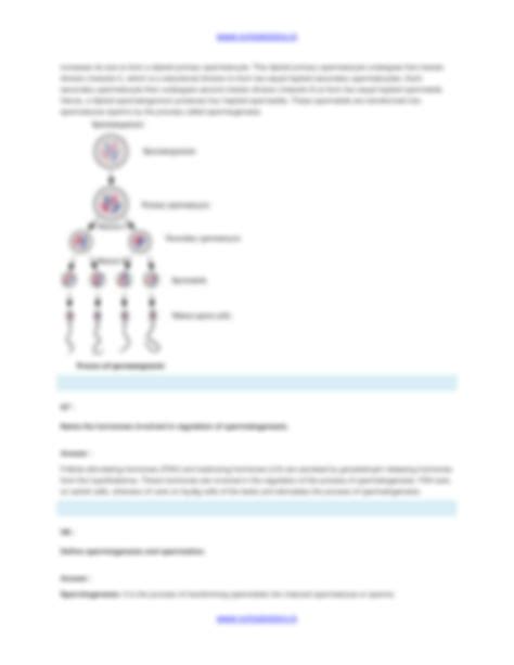 Solution Chapter 3 Human Reproduction Studypool