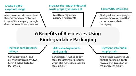 Biodegradable Packaging Materials Types and 5 Steps to Use it - renouvo