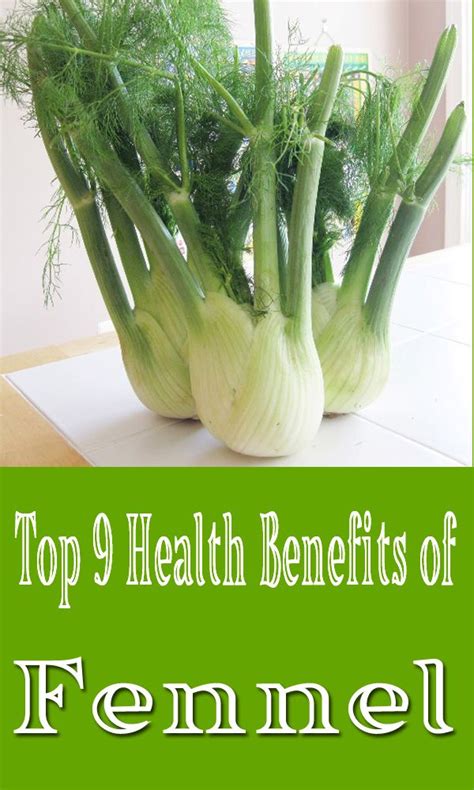 Surprising Fennel Benefits And Uses For Health Styles At Life