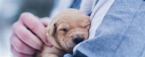 Бери Дари - Бери Дари added a new photo.