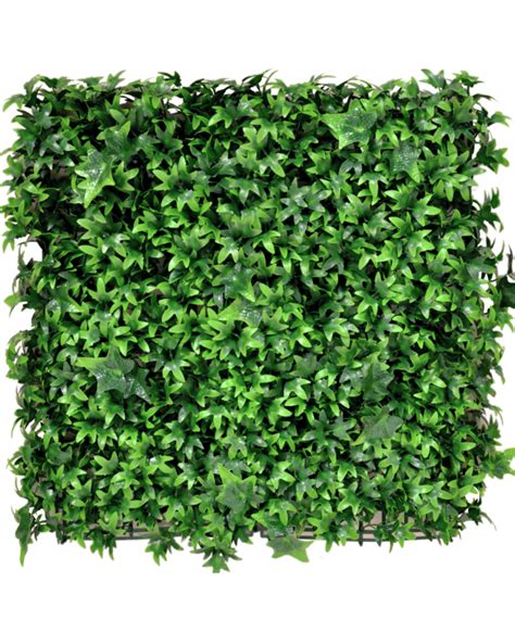 Greenmoods Kunsthaag Klimop 50x50 Cm UV Greenmoods