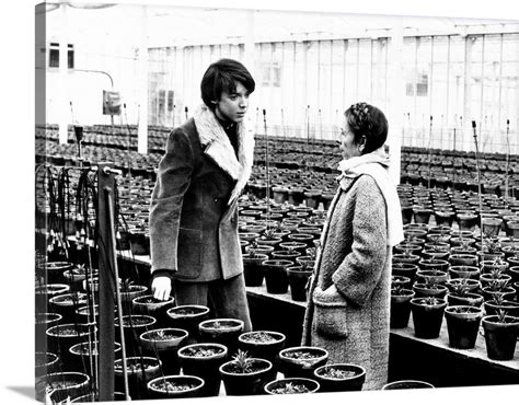 Harold And Maude, From Left, Bud Cort, Ruth Gordon, 1971 Wall Art ...