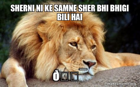 Sherni ni ke samne Sher bhi bhigi bili hai ðŸ ¯ - Confession Lion Meme Generator