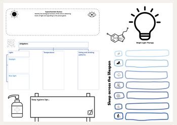 VCE Psychology Unit 4 AOS 1 Revision Posters By Miss KBs Classroom