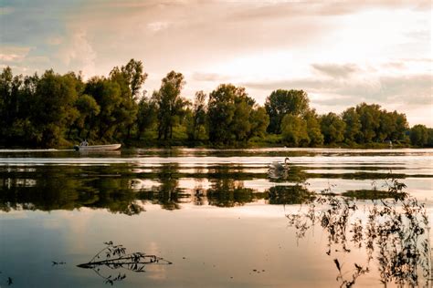 Image Libre Bateau De Pêche Au Bord Du Lac Cygne Pêcheur