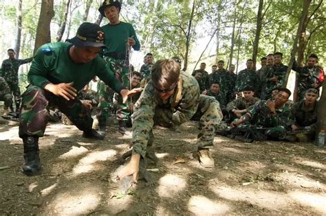 Tentara Usmc Amerika Serikat Ragu Makan Biawak Ular Ajaran Marinir