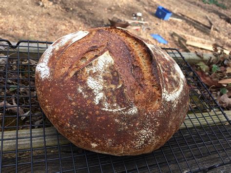 15 Hour Cold Ferment Sourdough Boule The Fresh Loaf