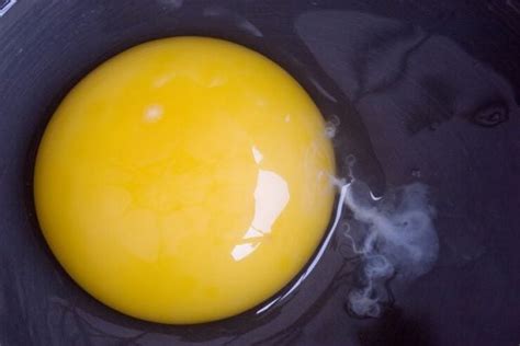 15 Amazing Facts About Fertilized Chicken Eggs The Happy Chicken Coop