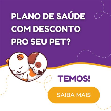 Dicas Para Cuidar Do Seu Cachorro