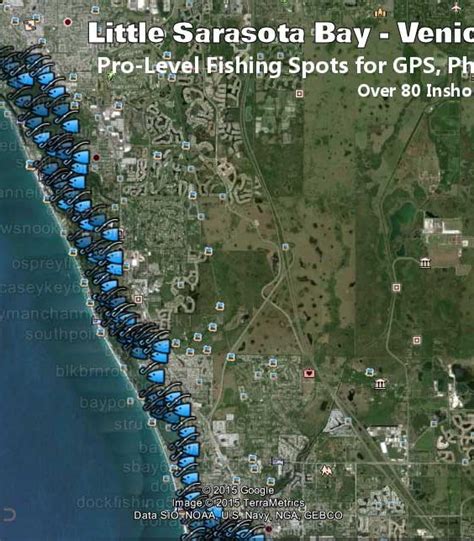 Venice Florida Fishing Spots for Inshore Fishing