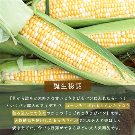 【楽天市場】【メディアで紹介】北海道 コーンパン コーンぱん コーンパン パングルメ 送料無料スイーツ 食べ物 お返し 出産内祝い こぼれ