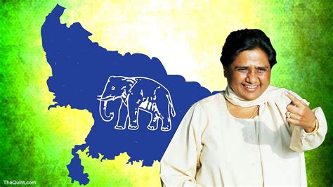 Mayawati To Not Contest Upcoming Up Elections Says Bsp Mp