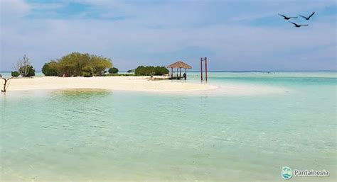 pantai pasir perawan htm rute foto ulasan pengunjung