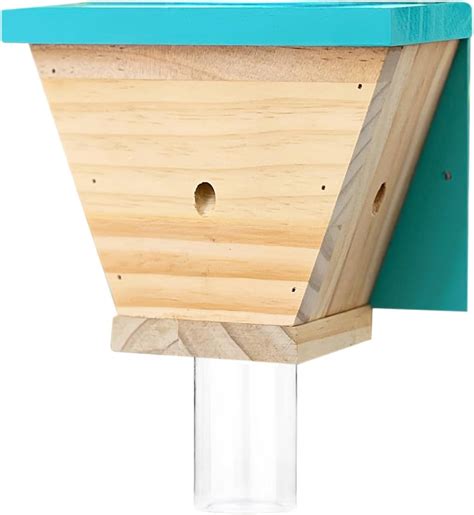 Amazon Grtre Pack Wood Carpenter Bee Trap For Outside Wood