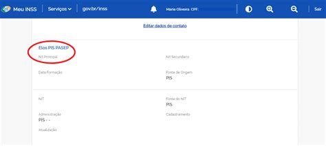 Como Consultar MEU NIS pelo CPF Boa Informação