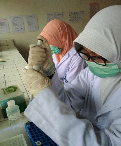 Mahasiswa Fakultas Biologi UGM Mengungkap Variasi Genetik Melon